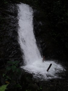 Cascada 008